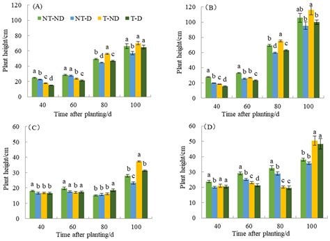 Thiamethoxam Application Improves Yield and Drought Resistance of ...
