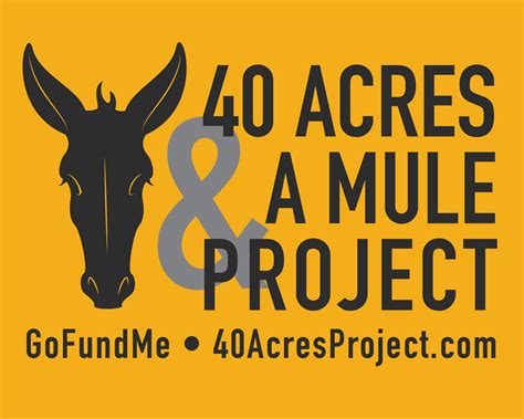 40 Acres & A Mule Project