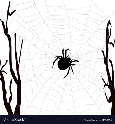 Image result for Realistic Spider Web