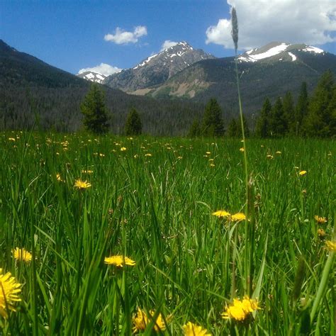COYOTE VALLEY TRAIL: Tutto quello che c'è da sapere (2026)