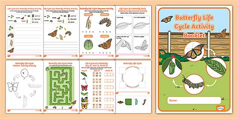 Image result for Assessment Cycle EYFS