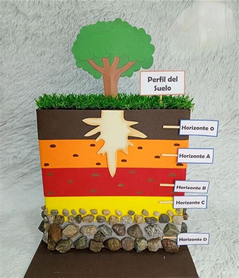 Soil Layers Science Project 的图像结果