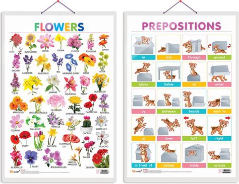 GO WOO Pack of 2 Flowers and PREPOSITIONS Educational charts Price in ...