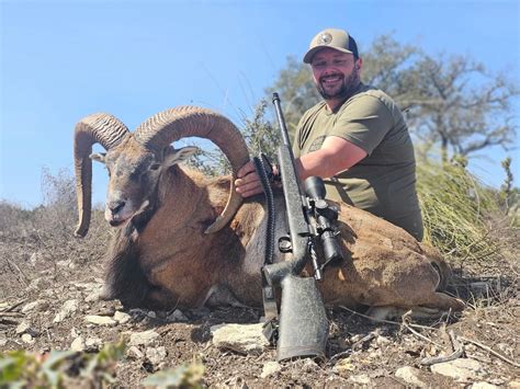 Aoudad Hunting in Texas - Year-Round Barbary Sheep Hunts