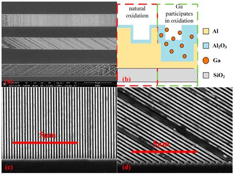 Method of Directly Writing MPA on Photosensitive Surface of Detector ...