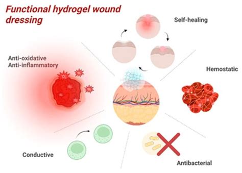 Advancements in Regenerative Hydrogels in Skin Wound Treatment: A ...