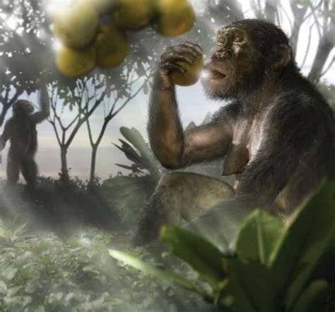Image result for Australopithecus Reconstruction