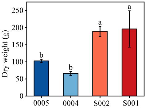 Contribution of Photosynthetic, Root and Phenotypic Traits to Soybean ...