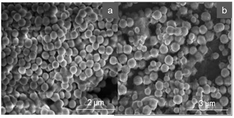 Development of Silica Nanoparticle Supported Imprinted Polymers for ...