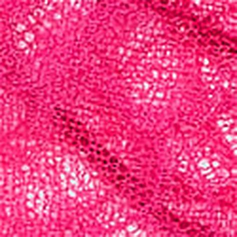 Panties: Buy Panties for Women at Best Price | Victoria's Secret India