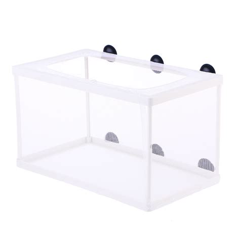 Image result for Netting Fast Fish Between Tanks