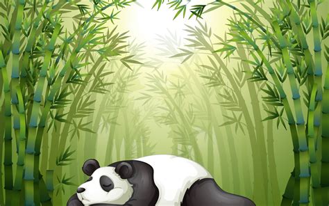 Download wallpaper stay, sleep, Panda, weed, the bamboo trees, section ...