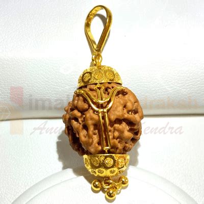 Natural Ganesh Mukhi Rudraksha | Himalaya Rudraksha Anusandhan Kendra