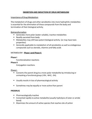 The Public Health Information Technology Maturity Index - umd Robert S ...