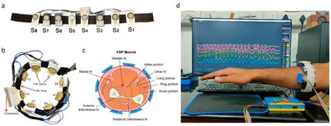 Craniotomy Simulator with Force Myography and Machine Learning-Based ...
