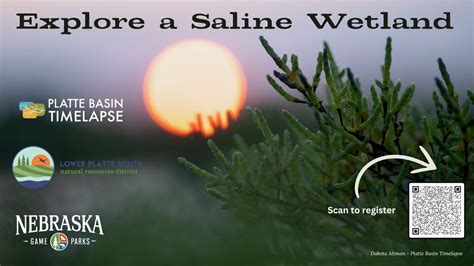Explore a Saline Wetland, Lincoln Nebraska, 1 May 2025 | AllEvents