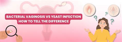 Bacterial Vaginosis vs Yeast Infection: Symptoms, Causes & Key Differences