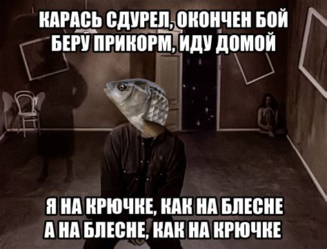 Карась дуреет от этого прикорма: что за мем и откуда он взялся