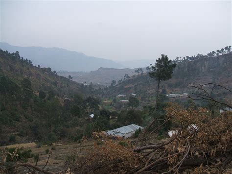 Panjera - JungleKey.in Image