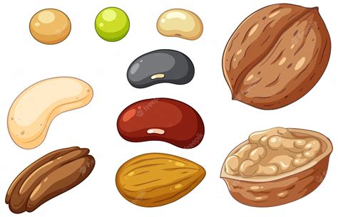 Nuts Clip Art Images - Free Download On Clipart Library – Free Clipart ...
