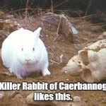 Image result for Monty Python Rabbit Meme
