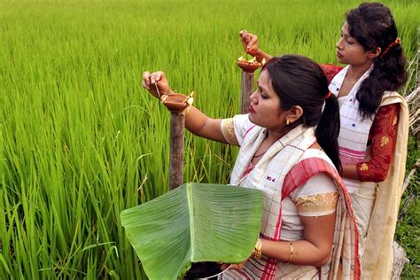 Kati Bihu 2023: The Beginning of New Harvest Season