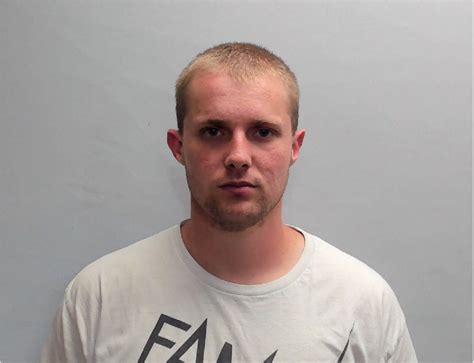 Talladega dog training facility owner arrested amidst disturbing animal ...