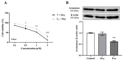 An Exemestane Derivative, Oxymestane-D1, as a New Multi-Target ...