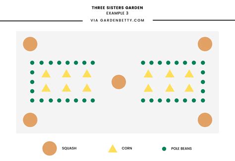 Three Sisters Garden Plan Three Sisters Companion Planting