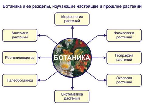 Полная Биология в школе - Клеточное строение организмов
