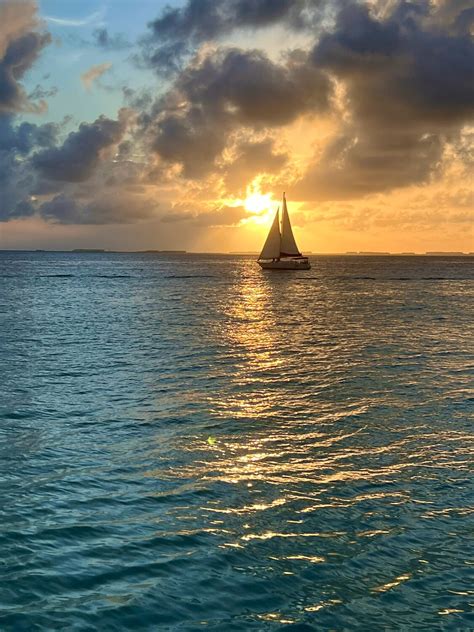 Competition Page | Poetry in Motion | Alan Tedesco | Capturing the sun ...