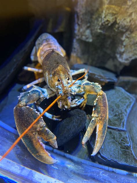 Locals Weekend - 50% off this weekend ONLY, South Quay, PL28 8BL ...