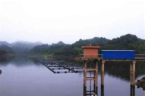 绿地控股控股上海水利集团，去年大基建营收约4000亿元|基建产业|绿地|绿地控股_新浪科技_新浪网