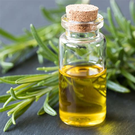 Rosemary Essential Oil - Benefits & Research Findings – Keya Seth ...
