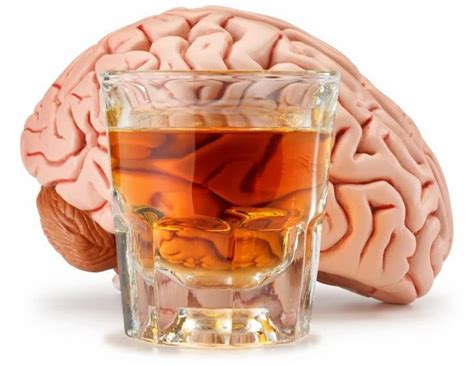 Cómo afecta el alcohol al cerebro - 5 pasos