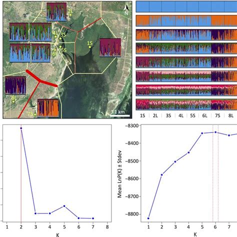 Image result for Bayesian Coast Map