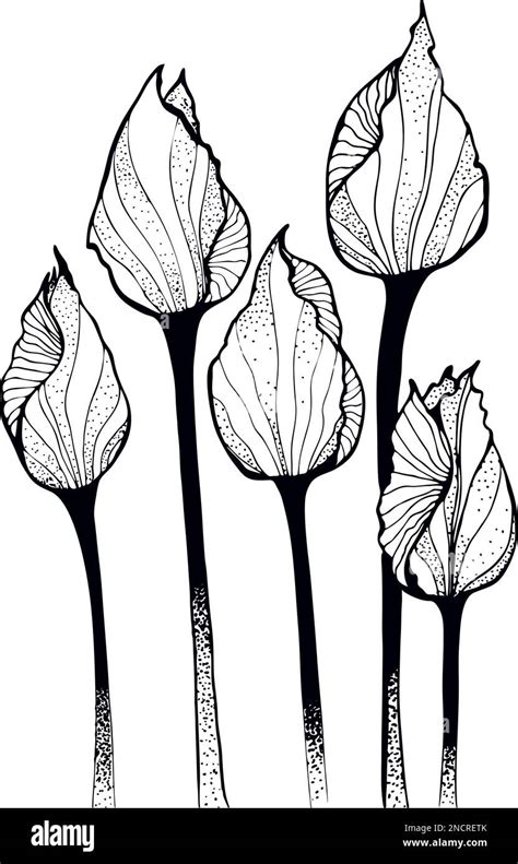 Drawing vector graphics with floral pattern for design. Floral flower ...