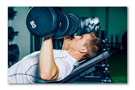 Buy Tamatina Gym Posters - Gym Posters Motivational - Gym Posters for ...