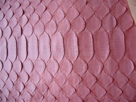 Image result for Pink Python Skin