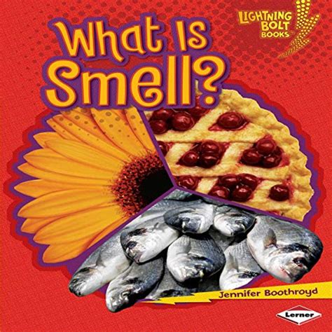 What Is Smell? (Audio Download): Jennifer Boothroyd, The ADS Group ...