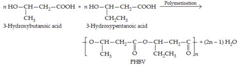 NCERT Solutions for Class 12 Chemistry Chapter 15 Polymers