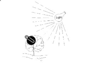 The diagram below shows a leaf that was covered by piece of black paper ...