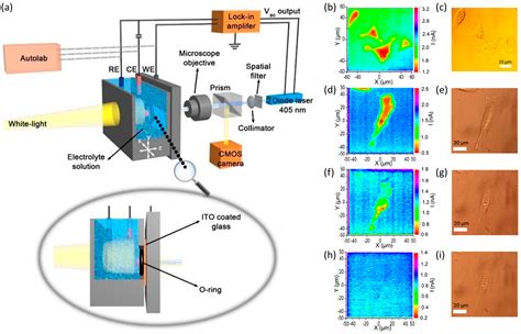 Recent Developments of High-Resolution Chemical Imaging Systems Based ...