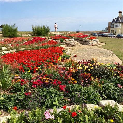 Sandown Castle Community Garden, Deal - Tripadvisor