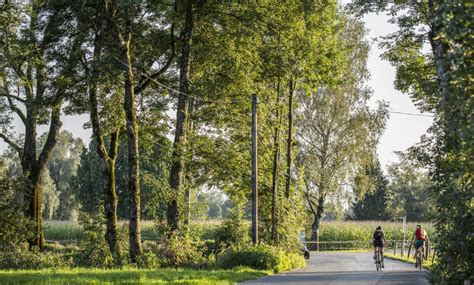 High Performance aus Hard | Urlaub am Bodensee, Vorarlberg