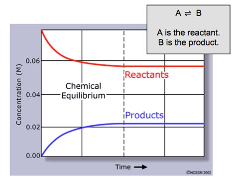 Image result for Dynamic Equilibrium Graph