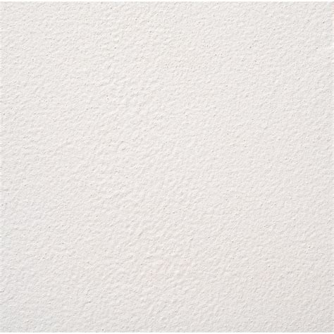 AMES Safe-T-Deck White Satin Exterior Anti-skid Porch and Floor paint ...