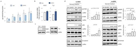 Persistent β-Hexachlorocyclohexane Exposure Impacts Cellular Metabolism ...