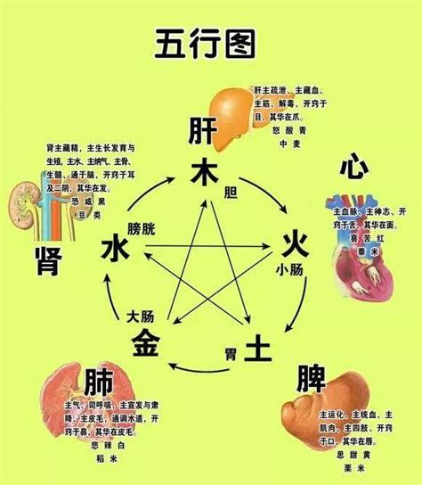 古中医“五行脏腑辨证”（收藏版）-搜狐大视野-搜狐新闻