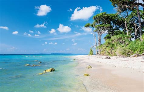 Andaman Sea Hawk Tours & Travels